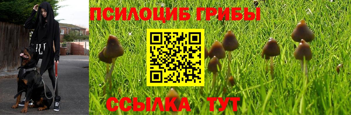Псилоцибиновые грибы мицелий  Вход с VPN  Псилоцибиновые грибы Magic Shrooms  Железноводск 